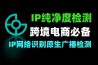 IPv4IPv6 域名查询